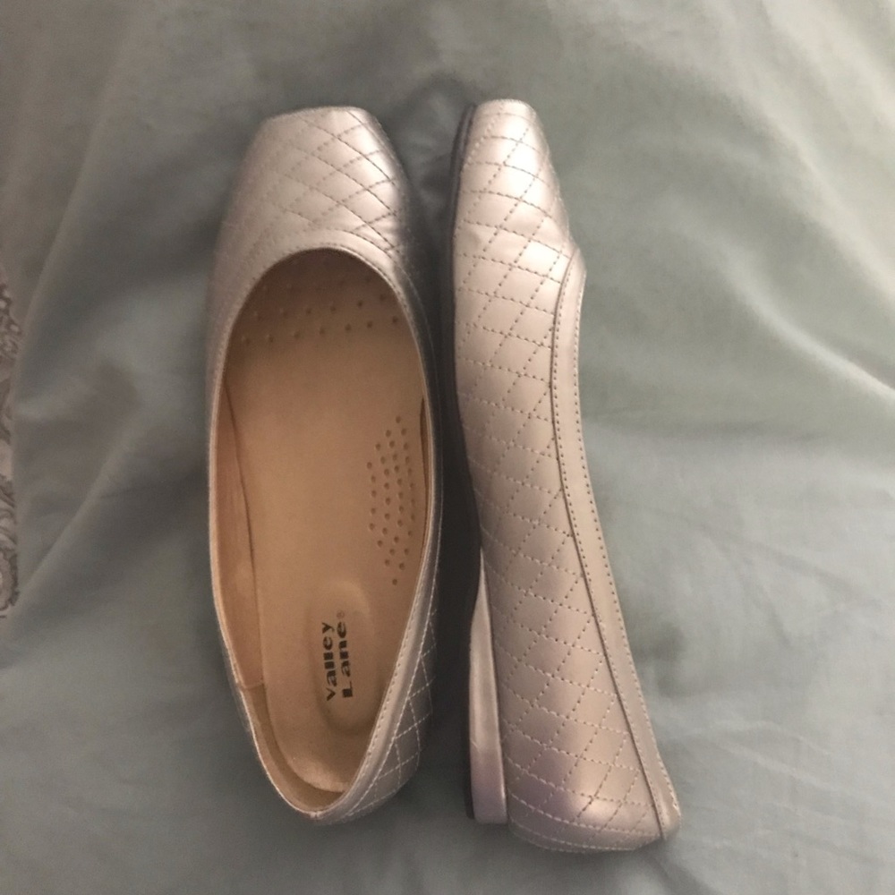 Silver Flats